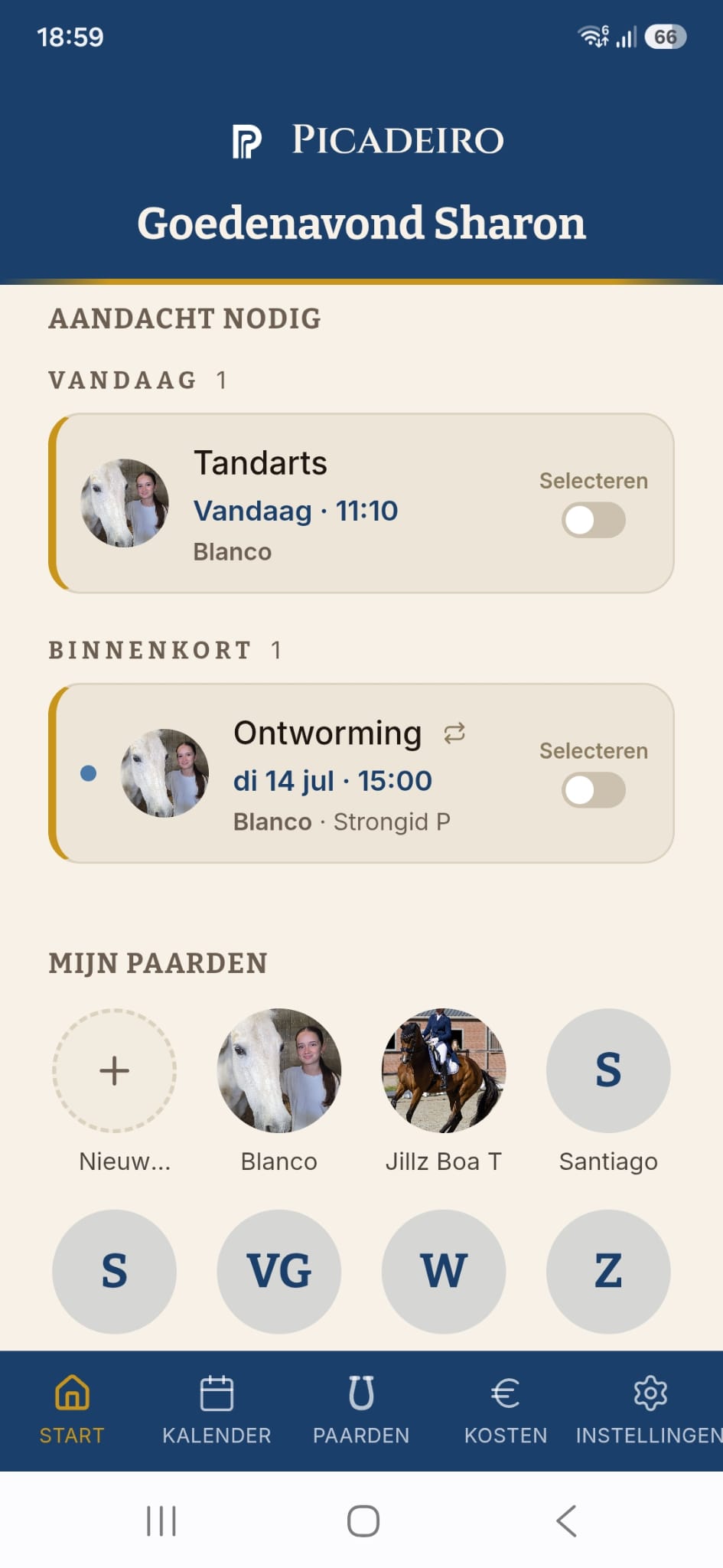 Picadeiro dashboard